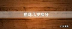 猫咪大概几岁换牙 猫咪几岁换牙