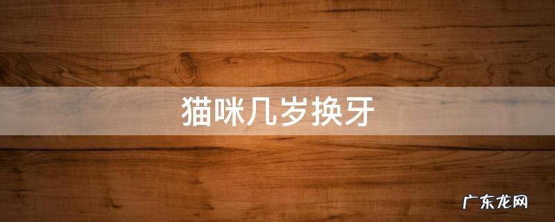 猫咪大概几岁换牙 猫咪几岁换牙