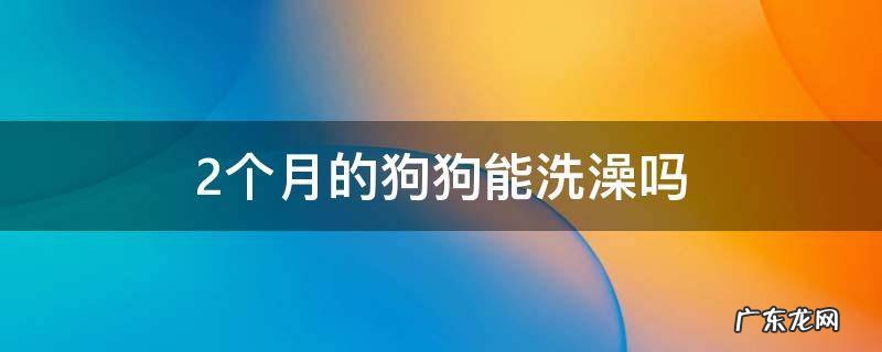 2个月的狗狗能洗澡吗 两个月的狗狗能洗澡吗