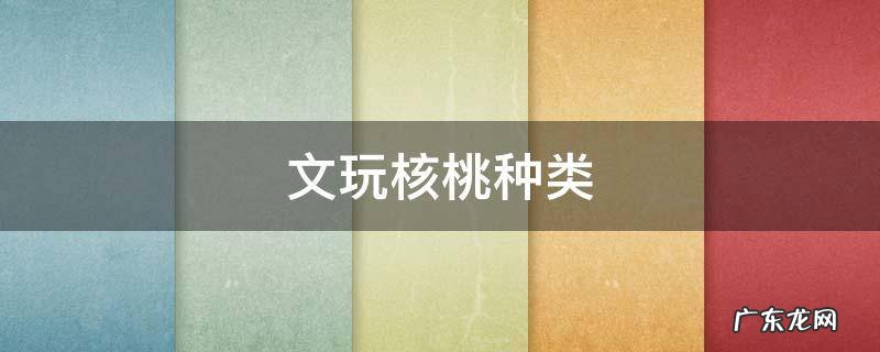 文玩核桃品种图鉴大全 文玩核桃种类