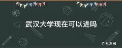 武汉大学现在能进去吗? 武汉大学现在可以进吗