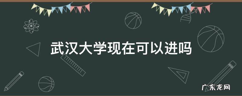 武汉大学现在能进去吗? 武汉大学现在可以进吗