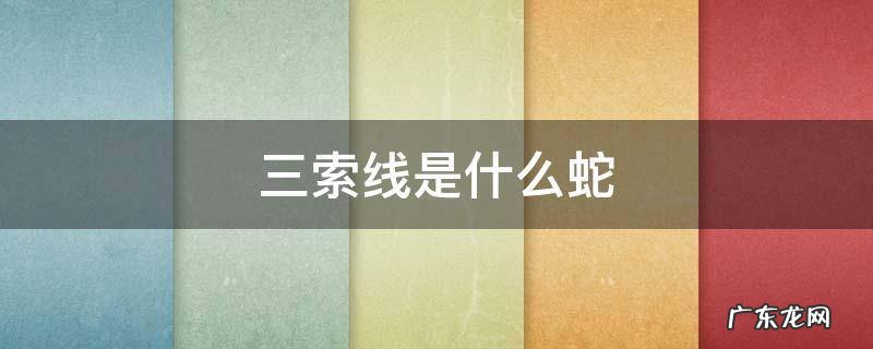 三索线是什么蛇 三条线的蛇