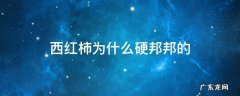 西红柿硬硬的 西红柿为什么硬邦邦的