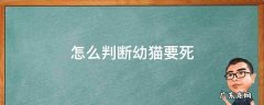 怎么判断幼猫要死 幼猫假死和真死的区别