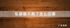 车屏幕不亮了怎么回事 车的屏幕不亮了