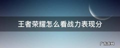 王者荣耀怎么看战力表现分 王者荣耀怎么看战力表现分满没满