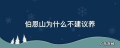 伯恩山能养吗 伯恩山为什么不建议养