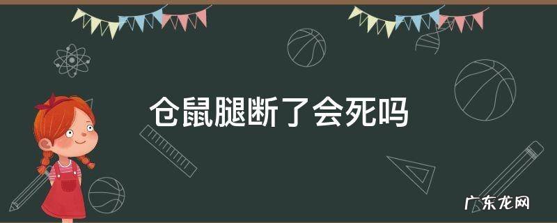 仓鼠的腿断了还能活吗 仓鼠腿断了会死吗