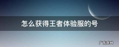 怎么获得王者体验服账号? 怎么获得王者体验服的号