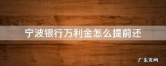 宁波银行万利金还款方式 宁波银行万利金怎么提前还