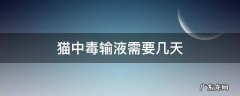 猫中毒输液需要几天 猫输液最多几天
