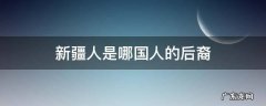 新疆人是哪个国家的后裔 新疆人是哪国人的后裔