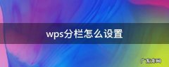 wps分栏怎么设置 wps分栏怎么设置两边内容一样多