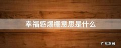 幸福爆棚还是幸福感爆棚 幸福感爆棚意思是什么