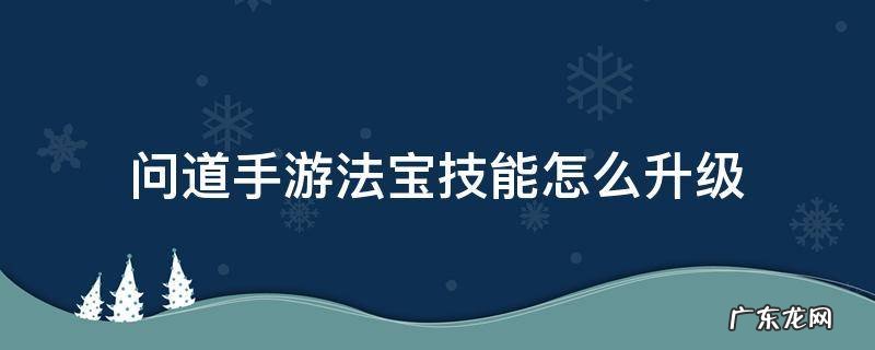 问道手游法宝技能等级怎么提升 问道手游法宝技能怎么升级