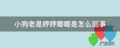 小狗老是哼哼唧唧是怎么回事 小狗总是哼唧唧