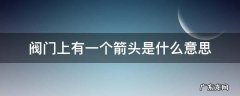 带箭头的阀门叫什么阀 阀门上有一个箭头是什么意思