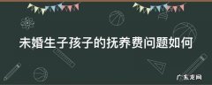 未婚生子孩子的抚养费问题如何