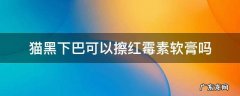 猫黑下巴可以擦红霉素软膏吗 猫咪黑下巴涂红霉素软膏吗