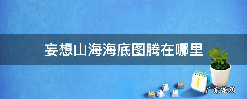 妄想山海怎么围海底图腾 妄想山海海底图腾在哪里