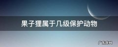 果子狸属于几级保护动物 果子狸是几级保护动物