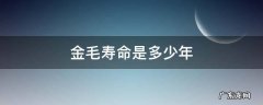 金毛寿命是多少年 金毛的寿命一般在多少年