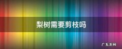 梨树能剪枝吗 梨树需要剪枝吗