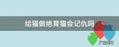 给猫做绝育猫会记仇吗 猫绝育会不会记仇