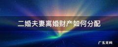 二婚夫妻离婚财产如何分配 婚姻法二婚离婚财产分割