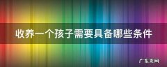 收养一个孩子需要具备哪些条件