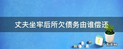 丈夫坐牢后所欠债务由谁偿还 丈夫坐牢债务由谁承担