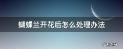 蝴蝶兰开花后怎么处理办法 蝴蝶兰开花后怎样处理