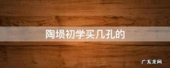 陶埙几孔的好 陶埙初学买几孔的