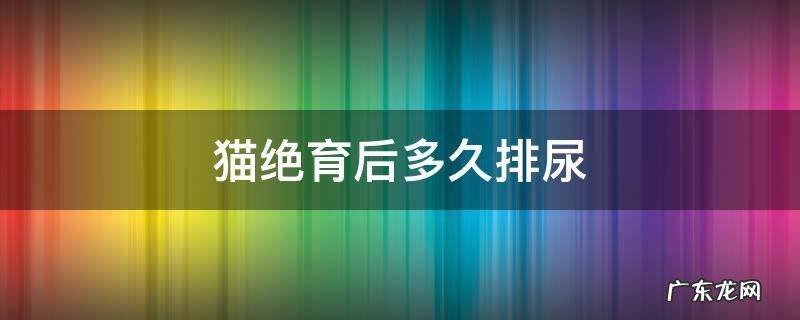 猫绝育后多久排尿 猫绝育后多久拉屎撒尿