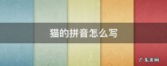 猫的拼音怎么写 复杂的拼音怎么写