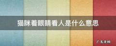 猫眯着眼睛看人是什么意思 猫咪眯着眼看人是什么意思