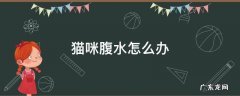 猫咪腹水怎么办 猫咪腹水的原因及治疗方法