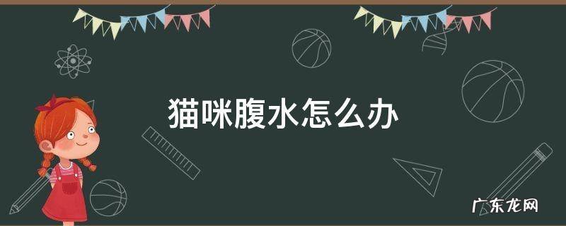 猫咪腹水怎么办 猫咪腹水的原因及治疗方法