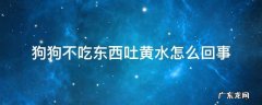 狗狗一直吐黄水不吃东西怎么办 狗狗不吃东西吐黄水怎么回事