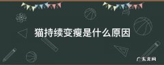 猫为什么会突然变瘦 猫持续变瘦是什么原因