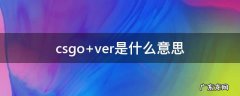 csgo ver是什么意思