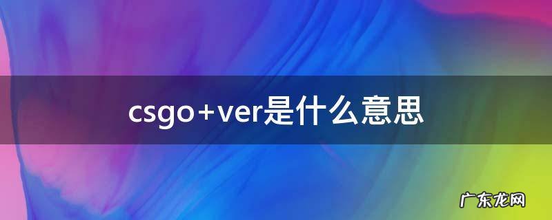 csgo ver是什么意思