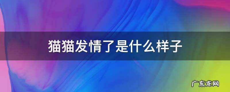 猫猫发情了是什么样子