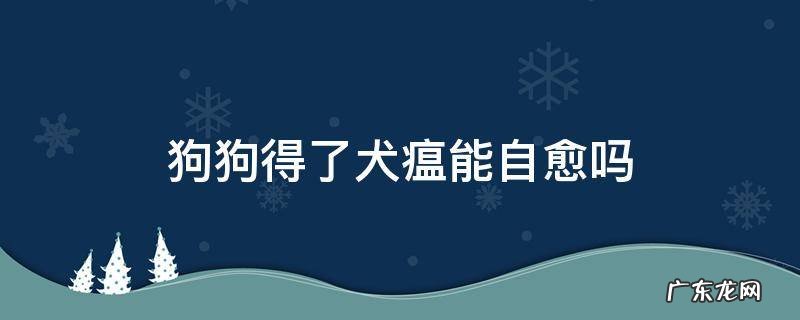 狗狗得了犬瘟能自愈吗 狗狗得了犬瘟治愈后还会不会得