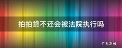 拍拍贷不还会上法院吗 拍拍贷不还会被法院执行吗