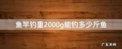 鱼竿钓重2000g能钓多少斤鱼 鱼竿钓重2000g是多少斤