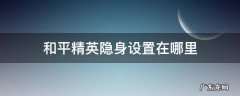 和平精英隐身设置在哪里 和平精英咋设置隐身