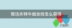我功夫特牛组合技怎么获得 我功夫特牛里面的组合技怎么获得