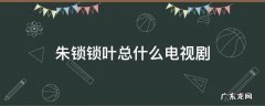 朱锁锁叶总什么电视剧 朱锁锁叶总什么电视剧流金岁月